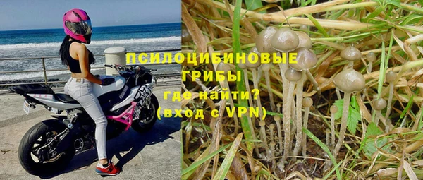 дживик Абаза