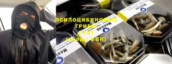 дживик Абаза