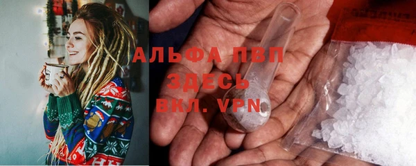 дживик Абаза