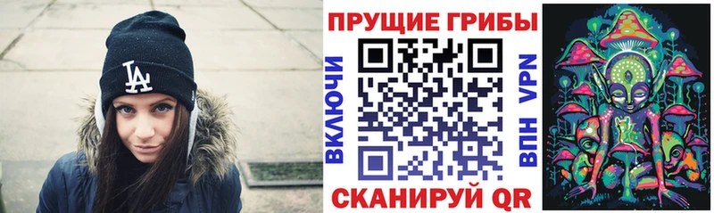 Галлюциногенные грибы Psilocybine cubensis  Каменногорск 